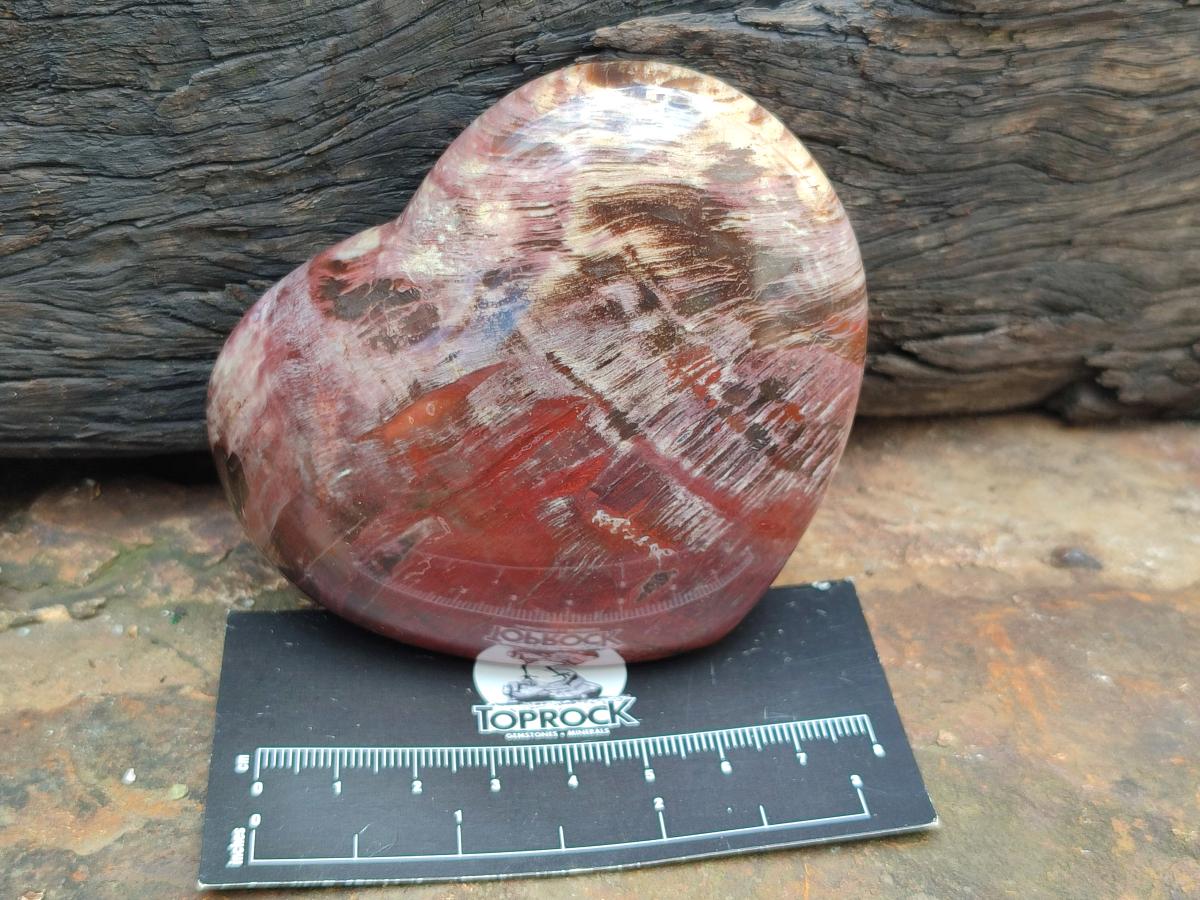 Polished Red Podocarpus Petrified Wood Hearts x 6 From Mahajanga, Madagascar