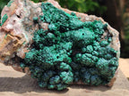 Natural Crystalline Ball Malachite with Drusy Quartz On Dolomite Specimen x 1 From Mindingi Mine, Kambove, Congo