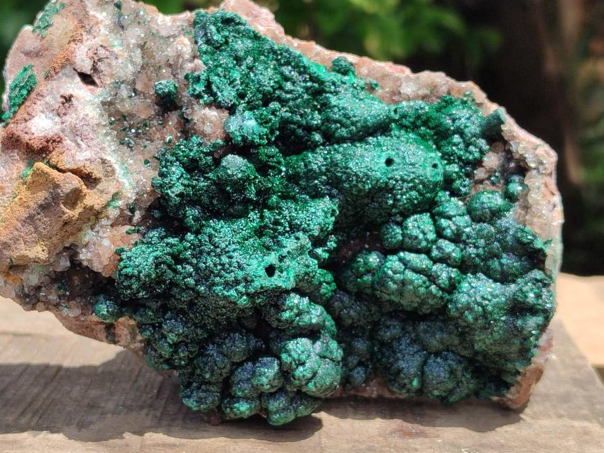 Natural Crystalline Ball Malachite with Drusy Quartz On Dolomite Specimen x 1 From Mindingi Mine, Kambove, Congo
