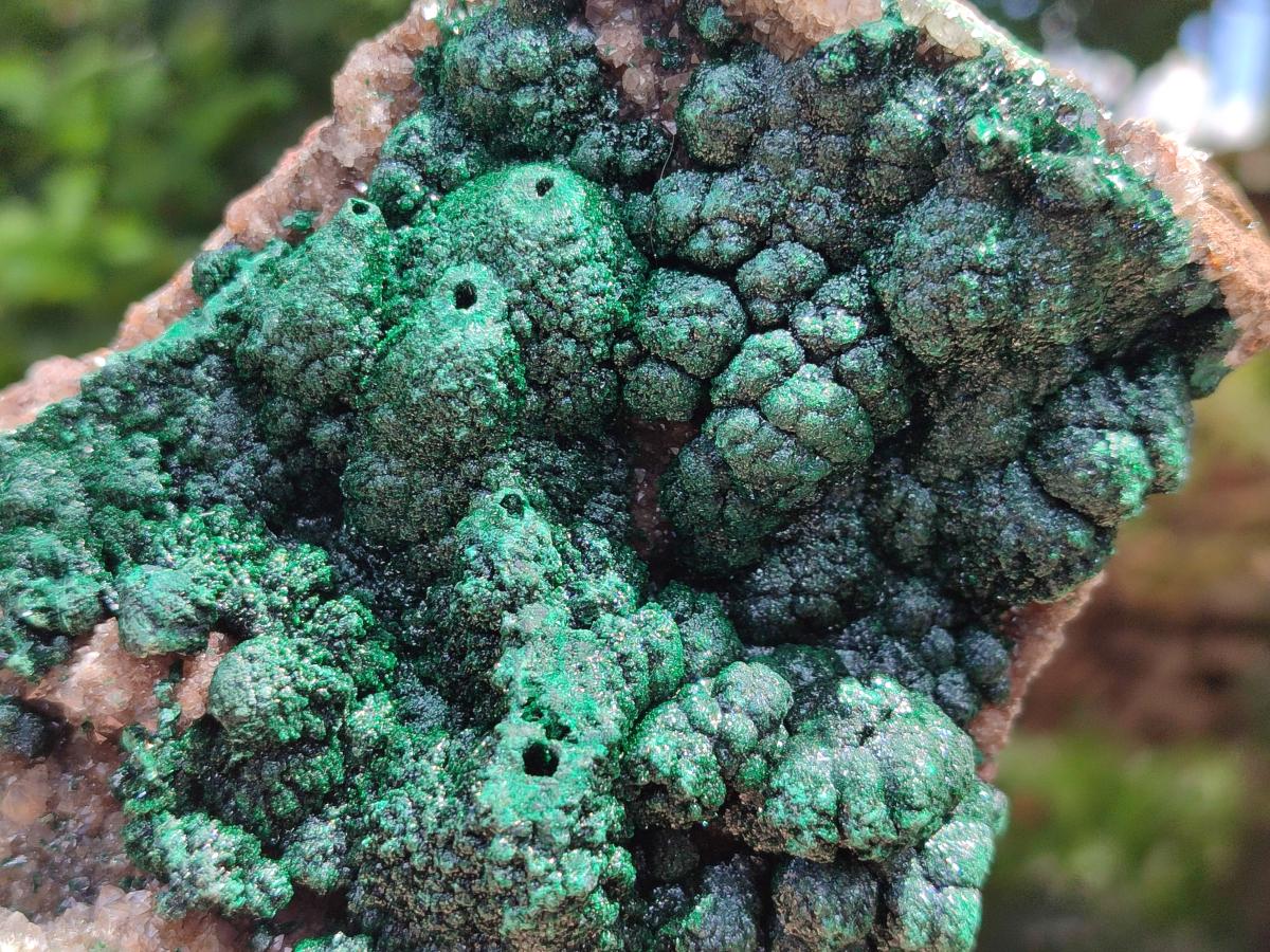 Natural Crystalline Ball Malachite with Drusy Quartz On Dolomite Specimen x 1 From Mindingi Mine, Kambove, Congo