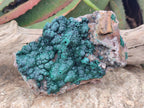 Natural Crystalline Ball Malachite with Drusy Quartz On Dolomite Specimen x 1 From Mindingi Mine, Kambove, Congo