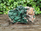 Natural Crystalline Ball Malachite with Drusy Quartz On Dolomite Specimen x 1 From Mindingi Mine, Kambove, Congo