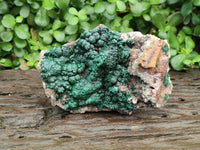 Natural Crystalline Ball Malachite with Drusy Quartz On Dolomite Specimen x 1 From Mindingi Mine, Kambove, Congo