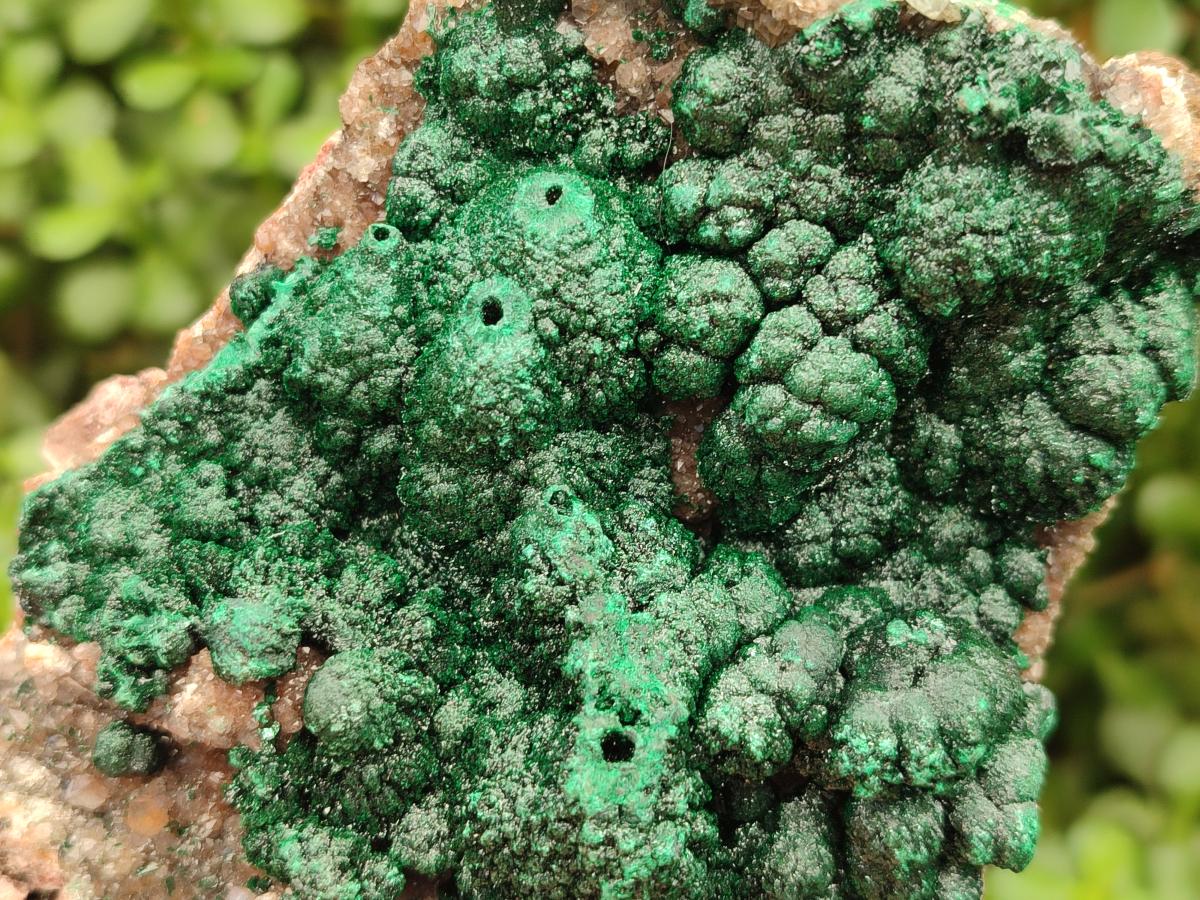 Natural Crystalline Ball Malachite with Drusy Quartz On Dolomite Specimen x 1 From Mindingi Mine, Kambove, Congo