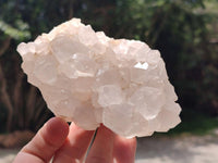 Natural Mix Of Multi Mineral Specimens x 12 From Southern Africa