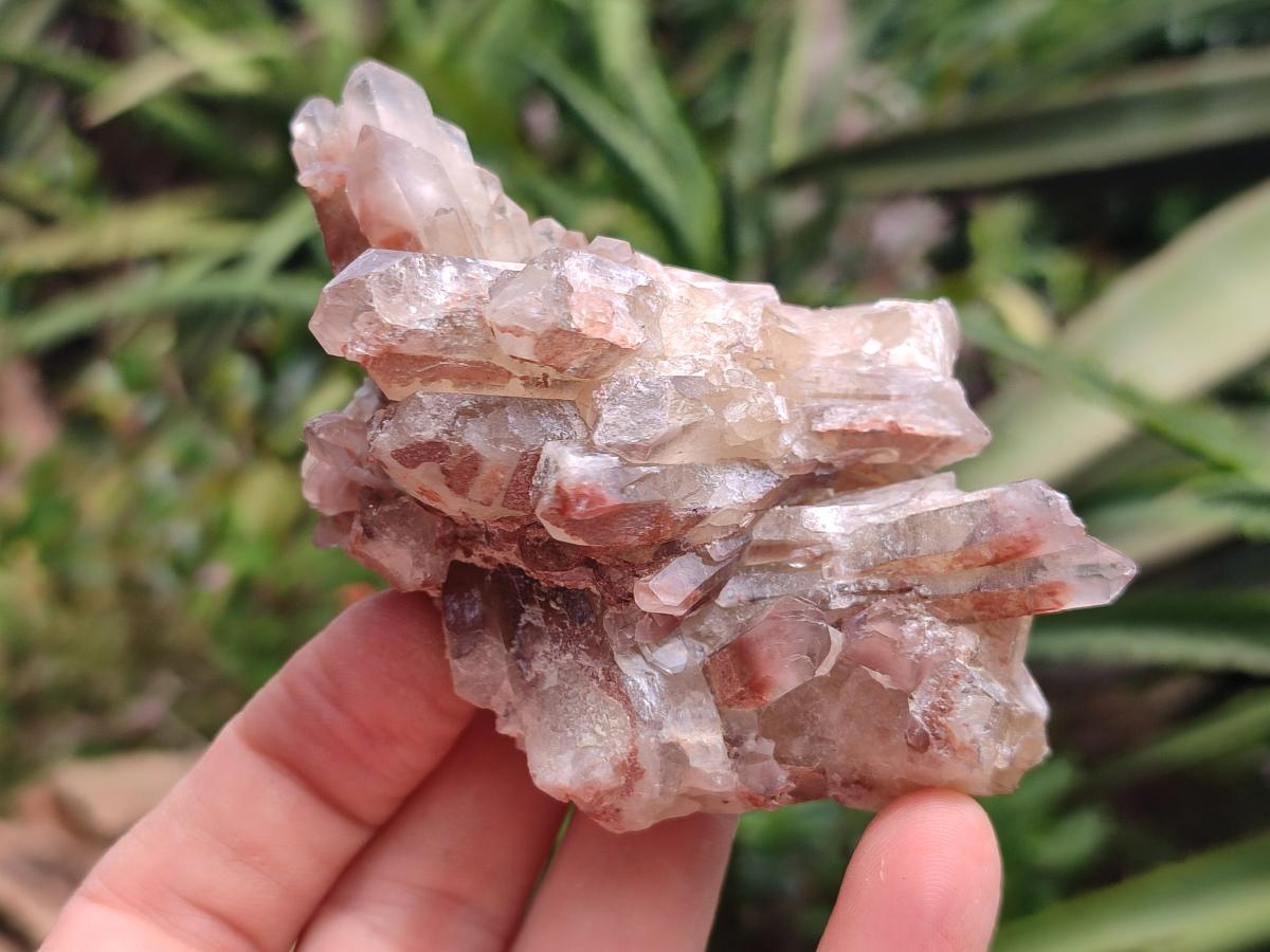 Natural Mix Of Multi Mineral Specimens x 12 From Southern Africa