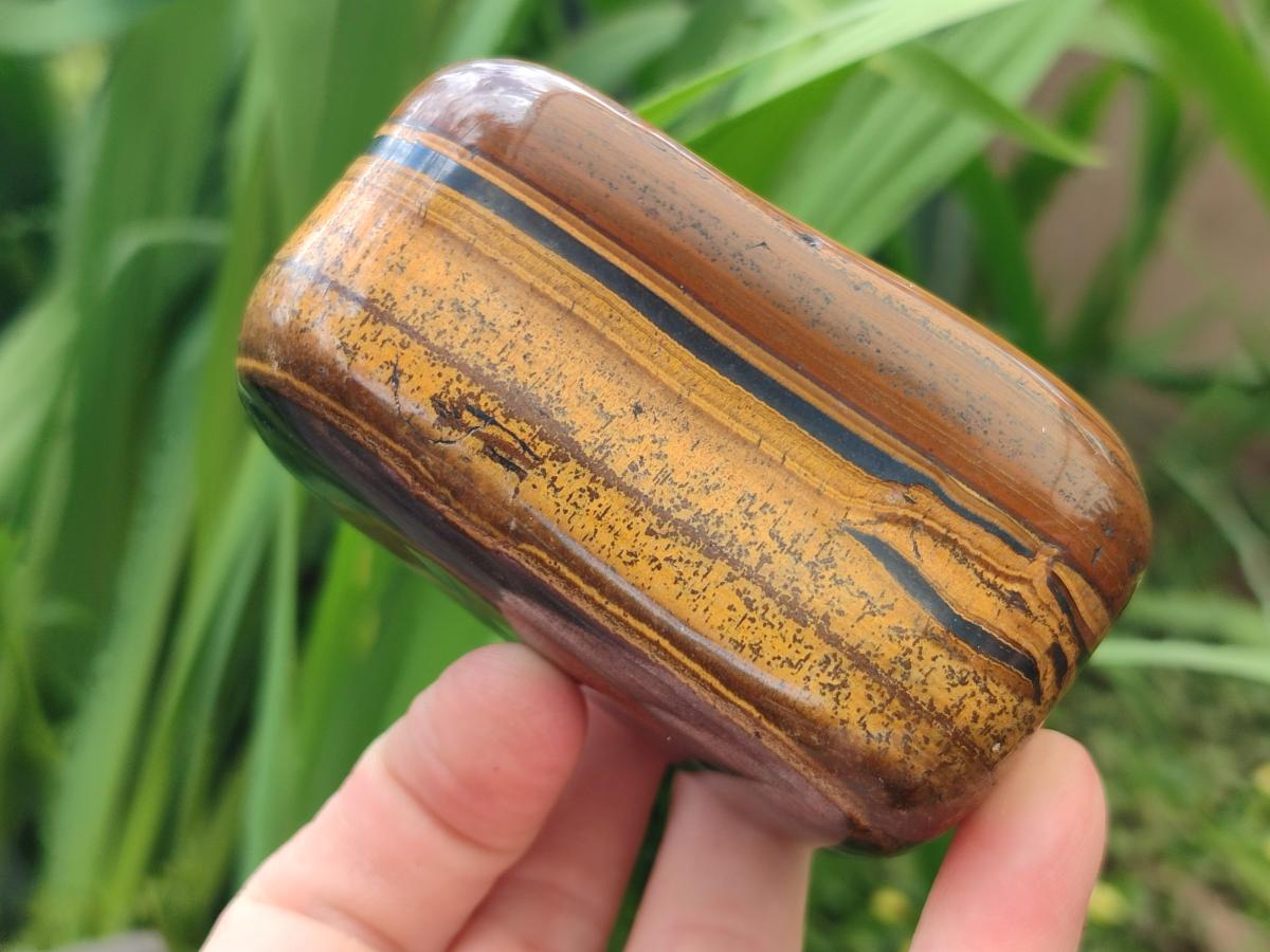 Polished Jumbo Golden Tigers Eye With Banded Iron Stone Free Forms x 6 From Prieska, South Africa
