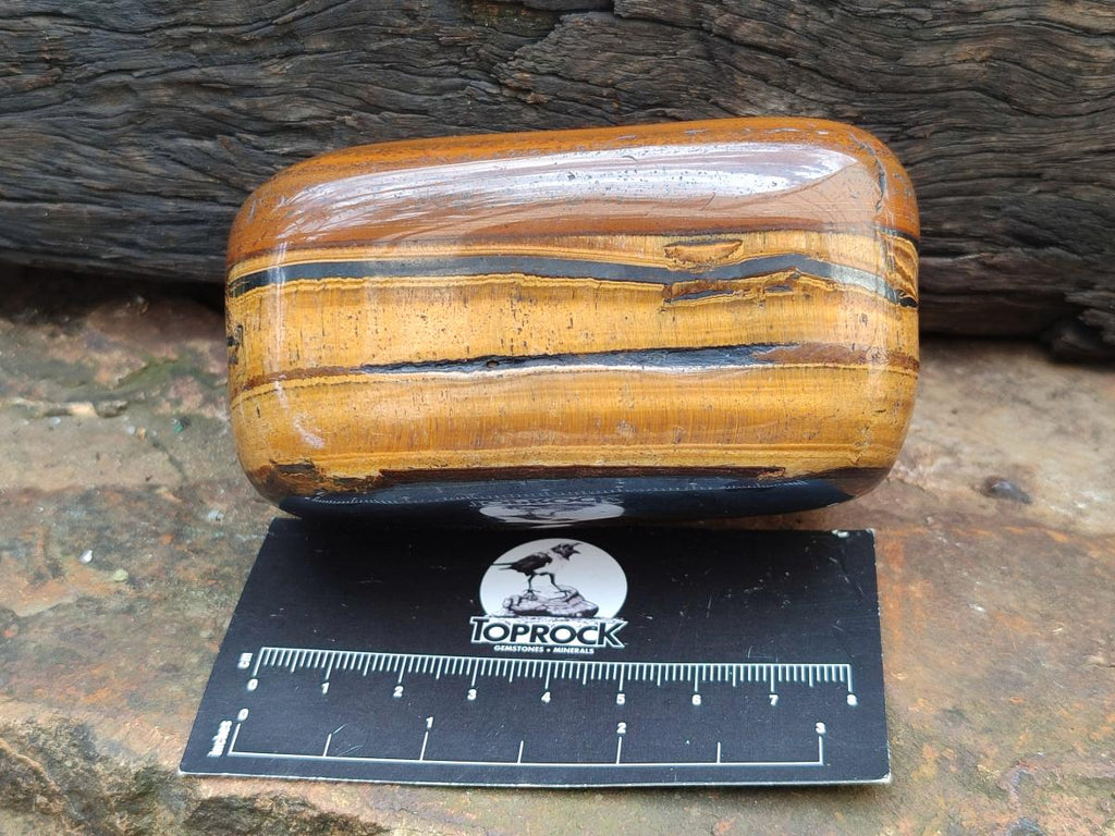 Polished Jumbo Golden Tigers Eye With Banded Iron Stone Free Forms x 6 From Prieska, South Africa