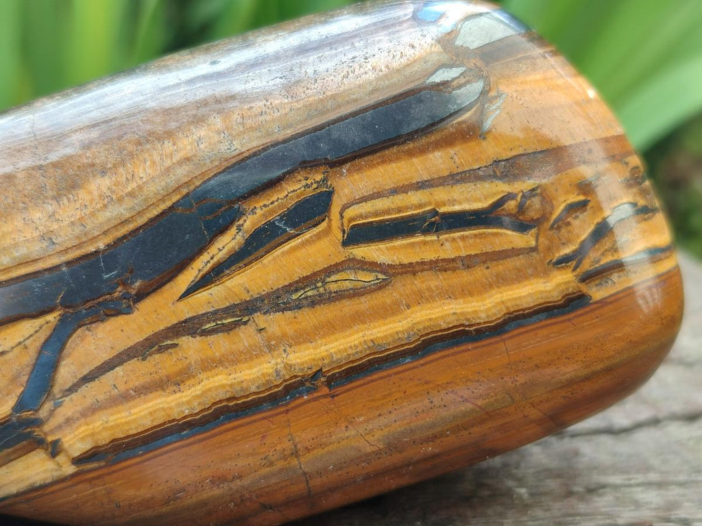 Polished Jumbo Golden Tigers Eye With Banded Iron Stone Free Forms x 6 From Prieska, South Africa