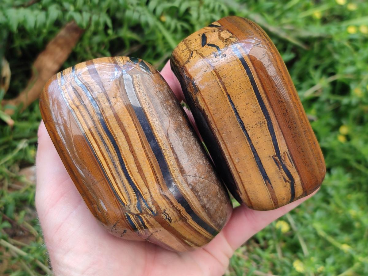 Polished Jumbo Golden Tigers Eye With Banded Iron Stone Free Forms x 6 From Prieska, South Africa
