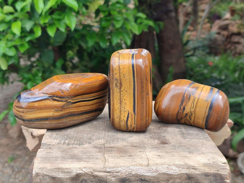 Polished Jumbo Golden Tigers Eye With Banded Iron Stone Free Forms x 6 From Prieska, South Africa