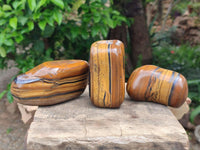 Polished Jumbo Golden Tigers Eye With Banded Iron Stone Free Forms x 6 From Prieska, South Africa