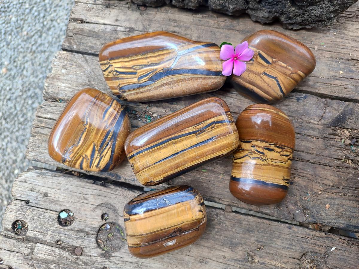 Polished Jumbo Golden Tigers Eye With Banded Iron Stone Free Forms x 6 From Prieska, South Africa