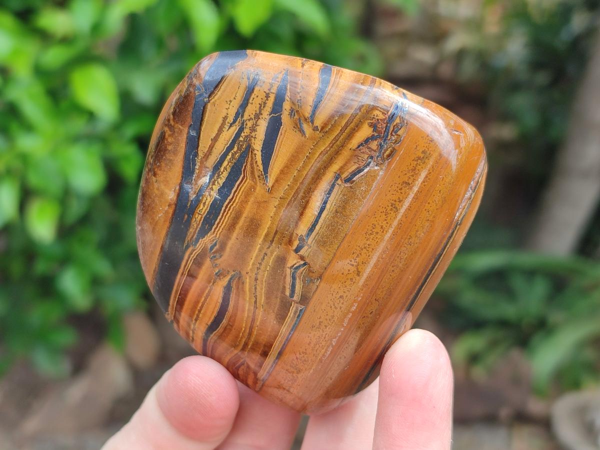 Polished Jumbo Golden Tigers Eye With Banded Iron Stone Free Forms x 6 From Prieska, South Africa