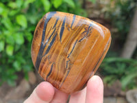 Polished Jumbo Golden Tigers Eye With Banded Iron Stone Free Forms x 6 From Prieska, South Africa