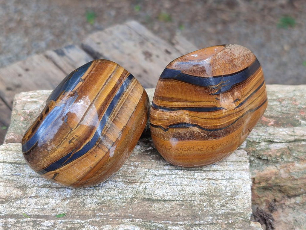 Polished Jumbo Golden Tigers Eye With Banded Iron Stone Free Forms x 6 From Prieska, South Africa