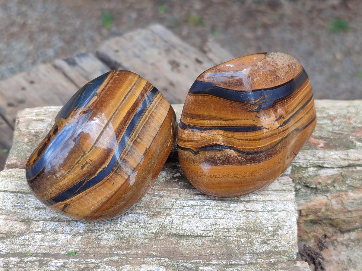 Polished Jumbo Golden Tigers Eye With Banded Iron Stone Free Forms x 6 From Prieska, South Africa
