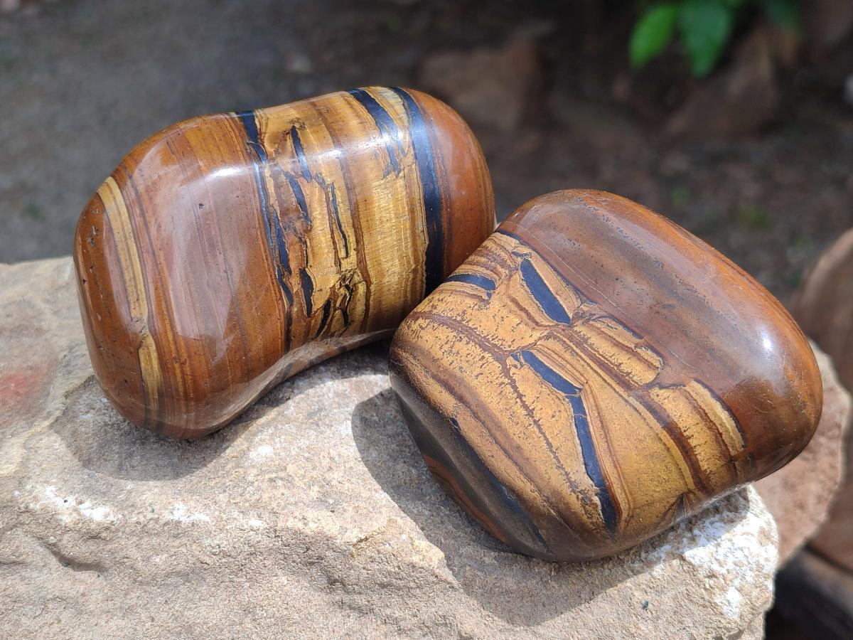Polished Jumbo Golden Tigers Eye With Banded Iron Stone Free Forms x 6 From Prieska, South Africa