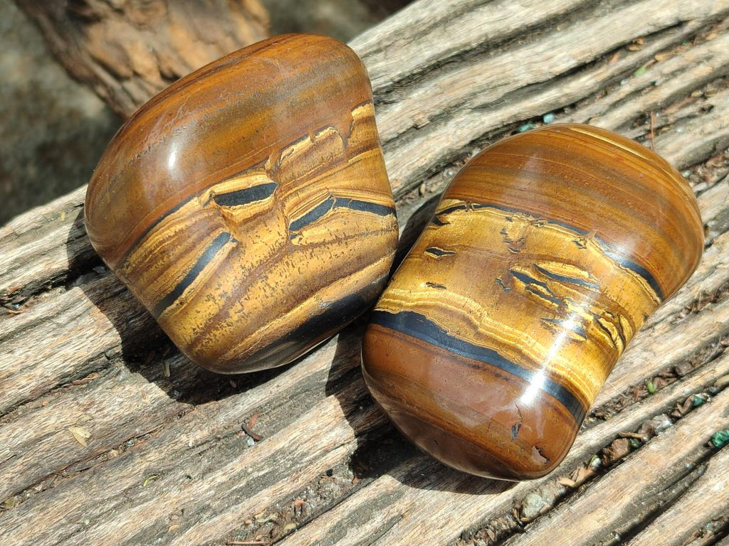 Polished Jumbo Golden Tigers Eye With Banded Iron Stone Free Forms x 6 From Prieska, South Africa