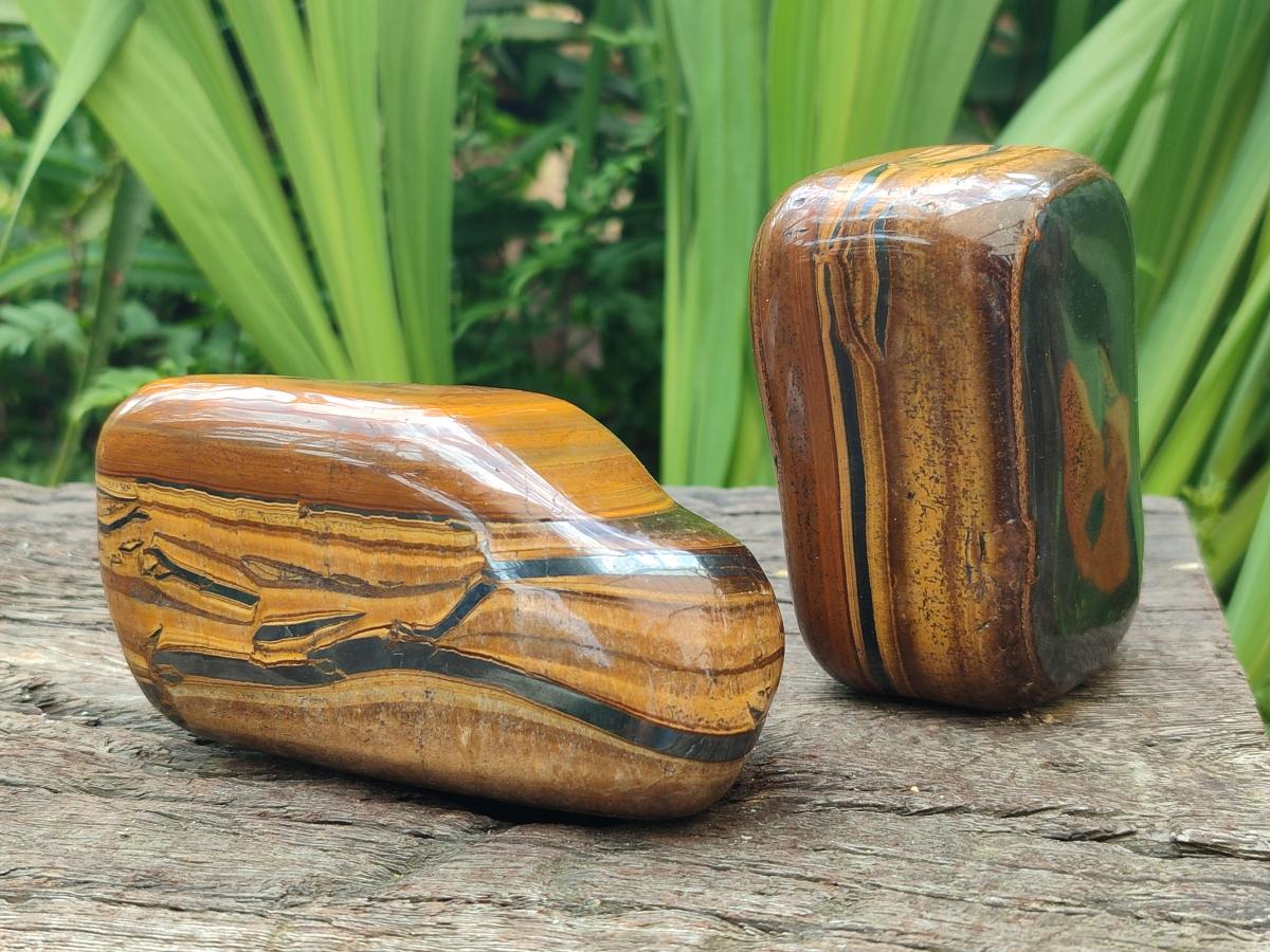 Polished Jumbo Golden Tigers Eye With Banded Iron Stone Free Forms x 6 From Prieska, South Africa