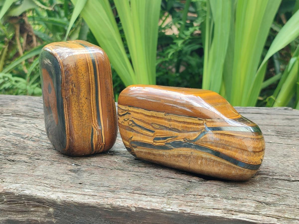Polished Jumbo Golden Tigers Eye With Banded Iron Stone Free Forms x 6 From Prieska, South Africa