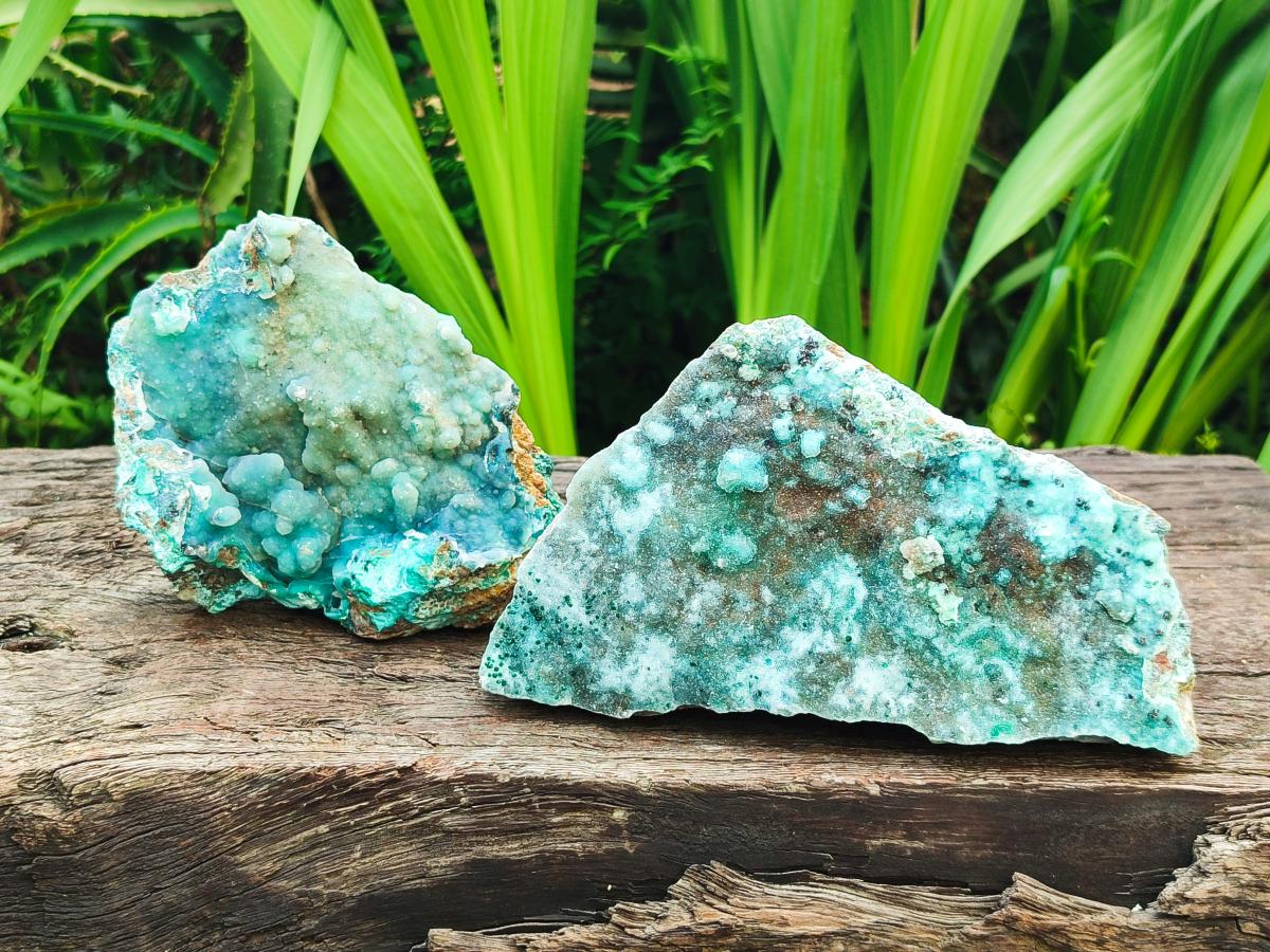 Natural Drusy Coated Chrysocolla On Dolomite Specimens x 2 From Lupoto Mine, Congo