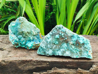 Natural Drusy Coated Chrysocolla On Dolomite Specimens x 2 From Lupoto Mine, Congo