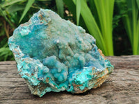 Natural Drusy Coated Chrysocolla On Dolomite Specimens x 2 From Lupoto Mine, Congo