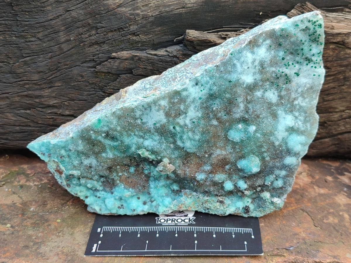 Natural Drusy Coated Chrysocolla On Dolomite Specimens x 2 From Lupoto Mine, Congo