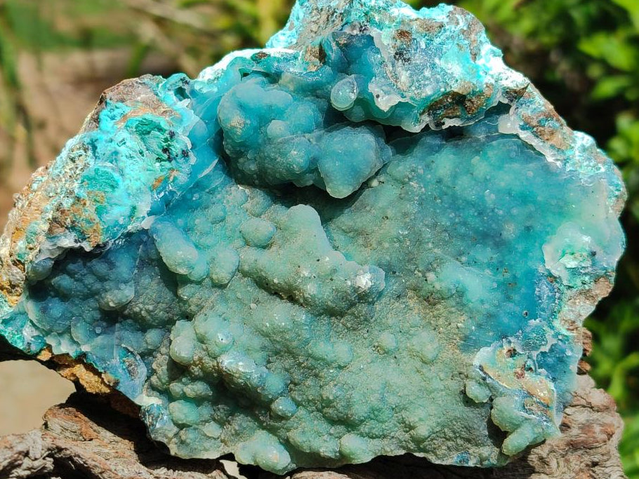 Natural Drusy Coated Chrysocolla On Dolomite Specimens x 2 From Lupoto Mine, Congo