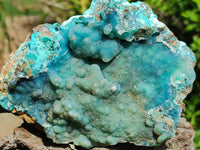 Natural Drusy Coated Chrysocolla On Dolomite Specimens x 2 From Lupoto Mine, Congo
