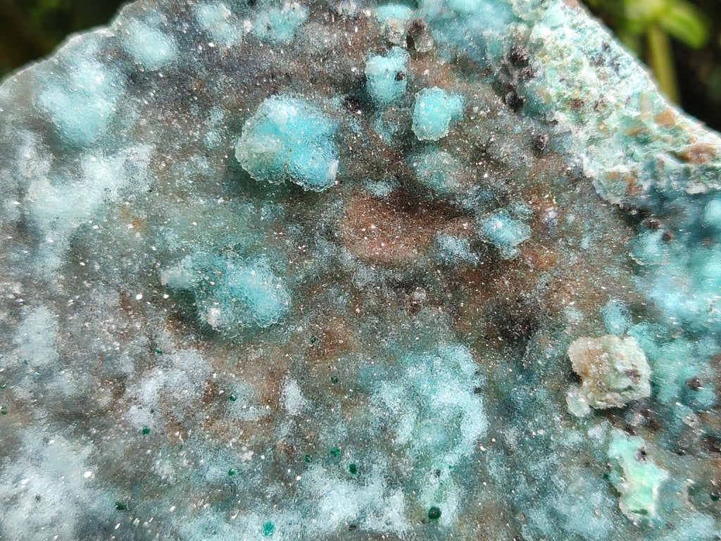 Natural Drusy Coated Chrysocolla On Dolomite Specimens x 2 From Lupoto Mine, Congo