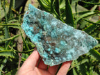 Natural Drusy Coated Chrysocolla On Dolomite Specimens x 2 From Lupoto Mine, Congo