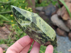 Polished Double Terminated Leopard Stone x 6 From Zimbabwe - Toprock Gemstones and Minerals 