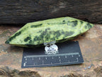 Polished Double Terminated Leopard Stone x 6 From Zimbabwe - Toprock Gemstones and Minerals 