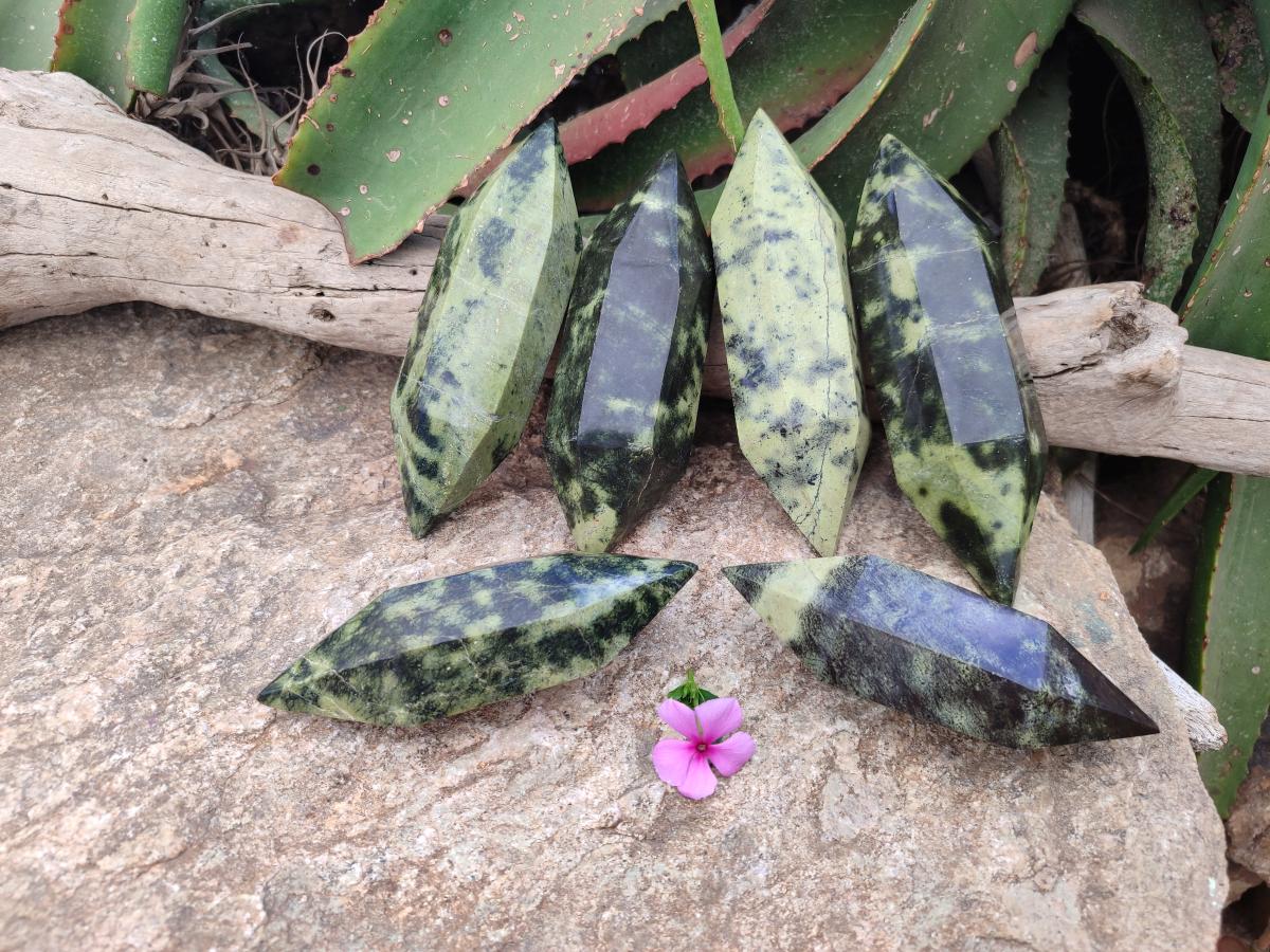 Polished Double Terminated Leopard Stone x 6 From Zimbabwe
