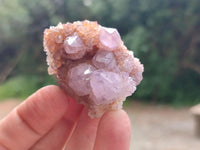 Natural Amethyst and Ametrine Spirit Crystals x 20 From Boekenhouthoek, South Africa
