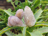 Natural Amethyst and Ametrine Spirit Crystals x 20 From Boekenhouthoek, South Africa