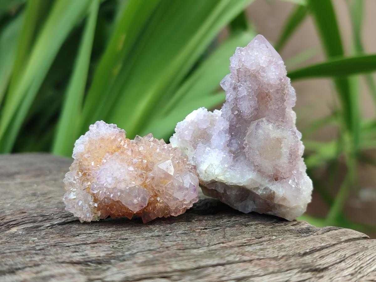 Natural Amethyst and Ametrine Spirit Crystals x 20 From Boekenhouthoek, South Africa
