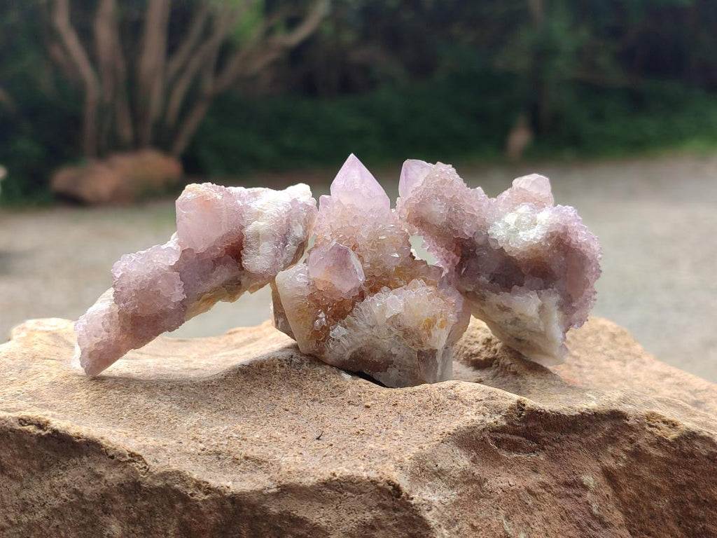 Natural Amethyst and Ametrine Spirit Crystals x 20 From Boekenhouthoek, South Africa