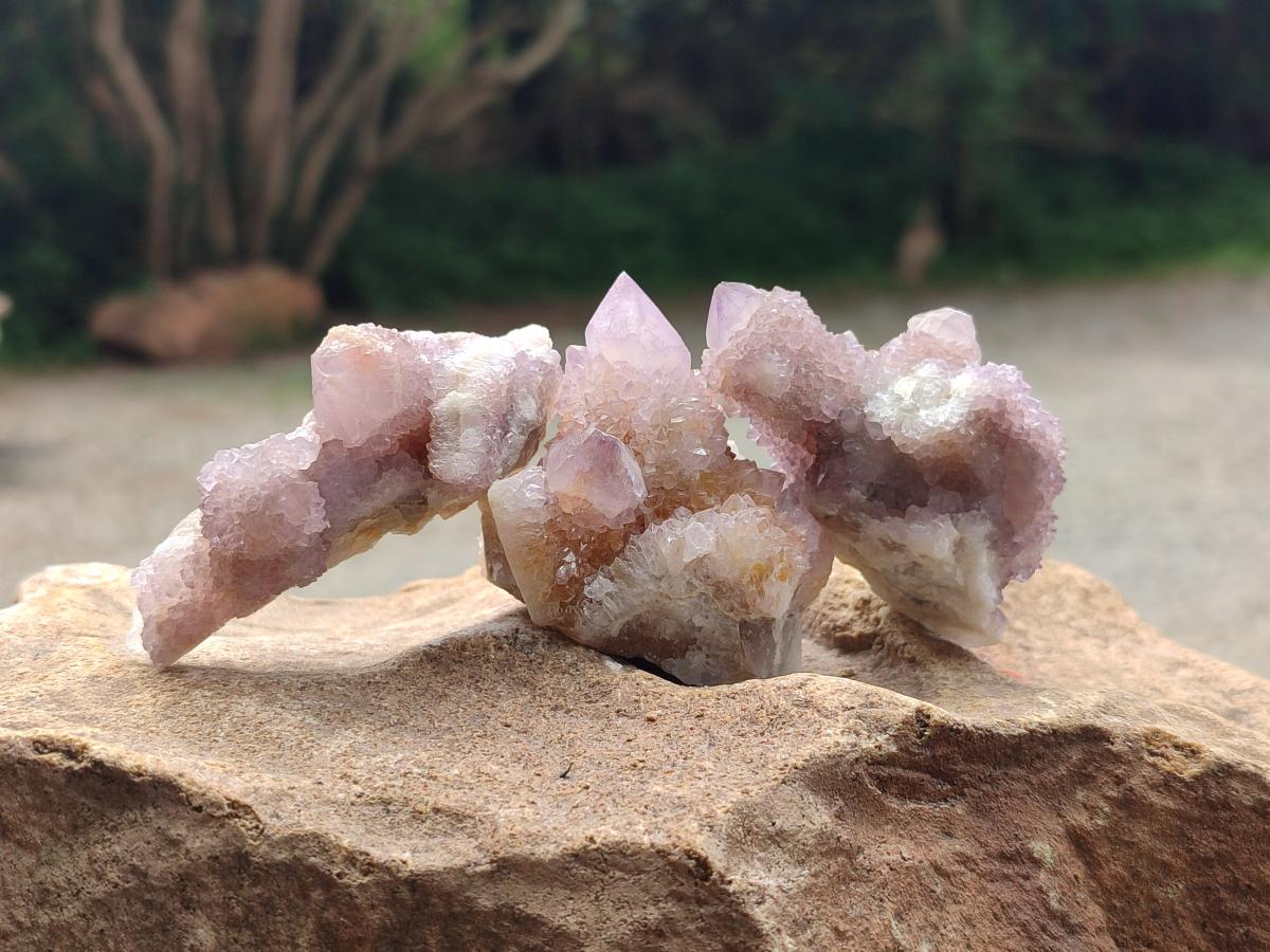 Natural Amethyst and Ametrine Spirit Crystals x 20 From Boekenhouthoek, South Africa
