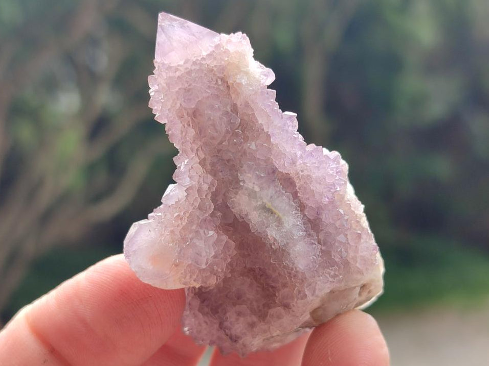 Natural Amethyst and Ametrine Spirit Crystals x 20 From Boekenhouthoek, South Africa