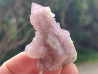 Natural Amethyst and Ametrine Spirit Crystals x 20 From Boekenhouthoek, South Africa