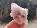 Natural Amethyst and Ametrine Spirit Crystals x 20 From Boekenhouthoek, South Africa