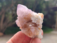 Natural Amethyst and Ametrine Spirit Crystals x 20 From Boekenhouthoek, South Africa
