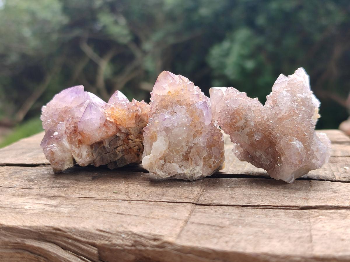 Natural Amethyst and Ametrine Spirit Crystals x 20 From Boekenhouthoek, South Africa