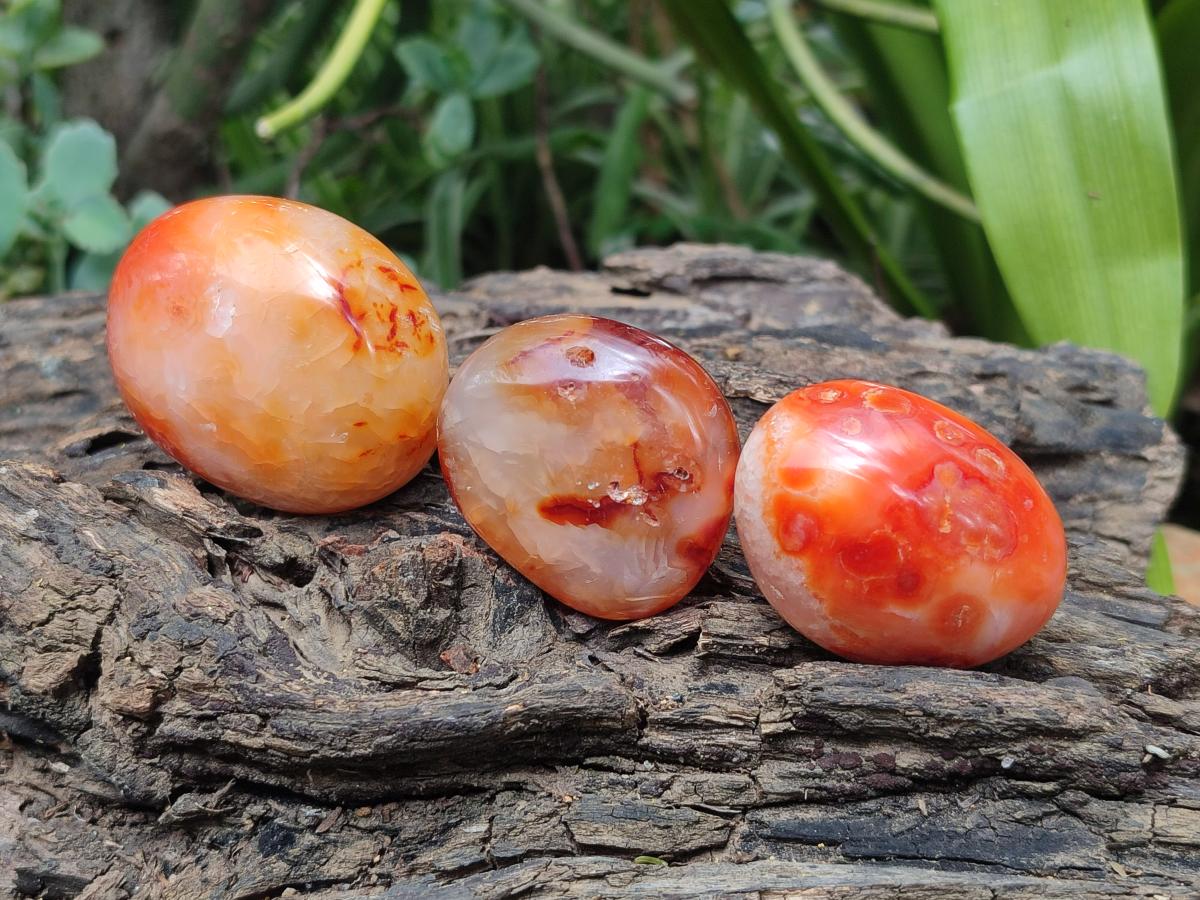 Polished Carnelian Agate Gemstone Galets x 23 From Madagascar