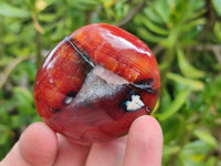 Polished Carnelian Agate Gemstone Galets x 23 From Madagascar