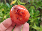 Polished Carnelian Agate Gemstone Galets x 23 From Madagascar