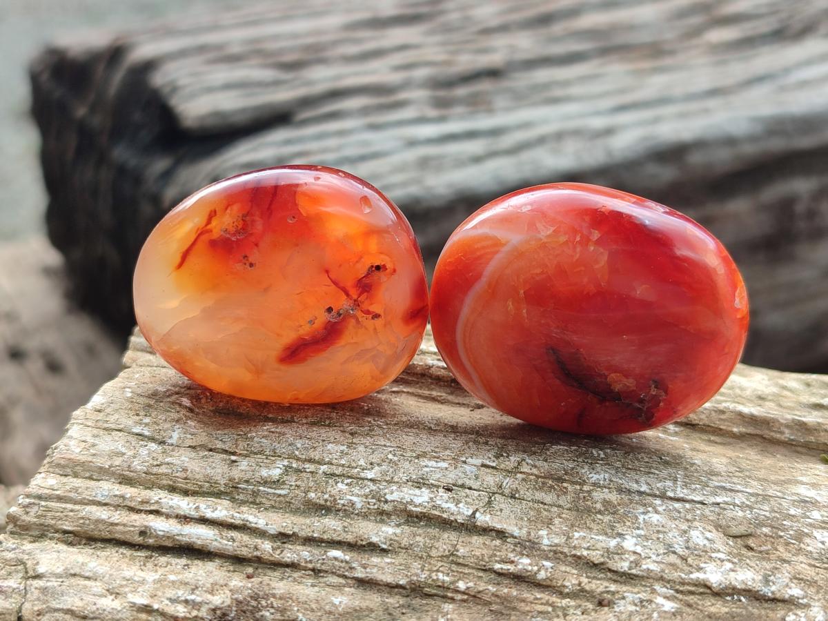 Polished Carnelian Agate Gemstone Galets x 23 From Madagascar